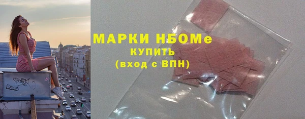 хмурый Белокуриха