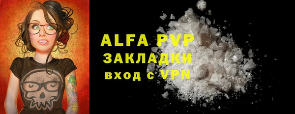 хмурый Белокуриха