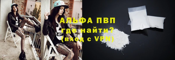 хмурый Белокуриха