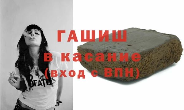 хмурый Белокуриха