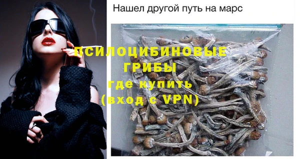 хмурый Белокуриха