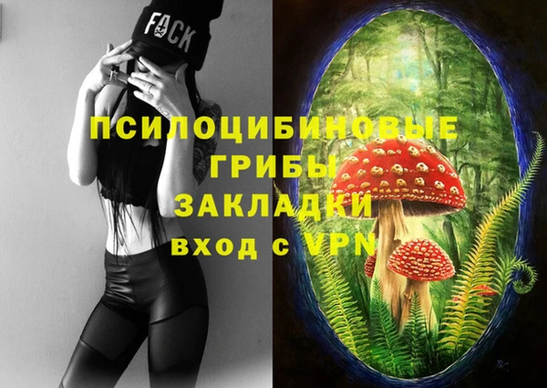 шишки Наволоки