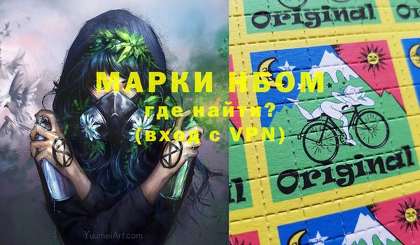 хмурый Белокуриха