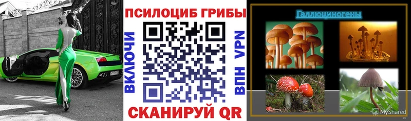 Галлюциногенные грибы MAGIC MUSHROOMS  где купить   нарко площадка состав  Невьянск 